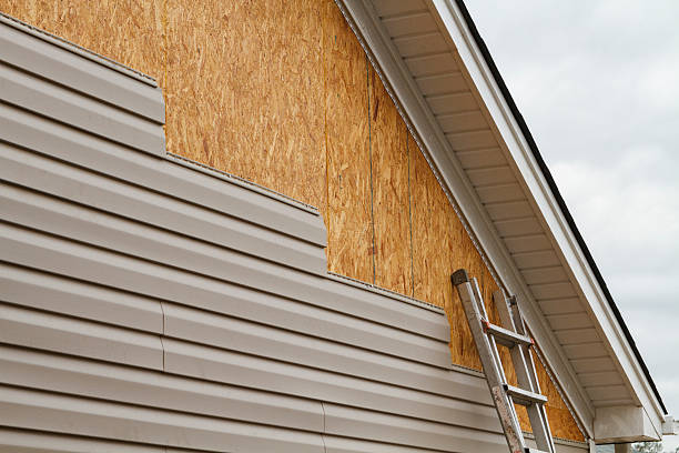 Professional Siding Repair technician working in Victoria, VA